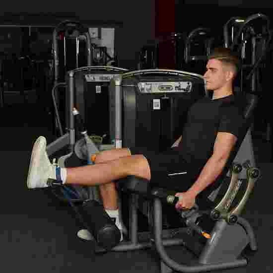 Snakecurl "Resistance" Ankle Straps - Image 3