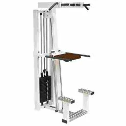 Sport-Thieme "SQ" Pull-Ups/Dips Machine