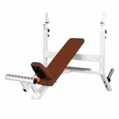 Sport-Thieme "SQ" Incline Bench
