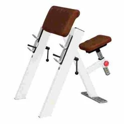 Sport-Thieme "SQ" Preacher Curl Bench