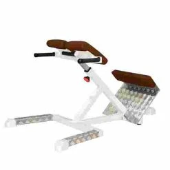 Sport-Thieme "SQ" Back Extension Bench
