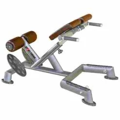 Sport-Thieme "OV" Back Extension Bench